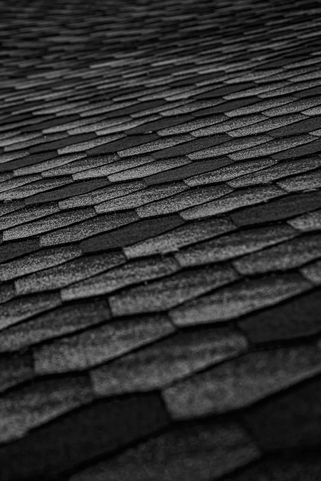 Close view of layered dark asphalt shingle tabs across a slope