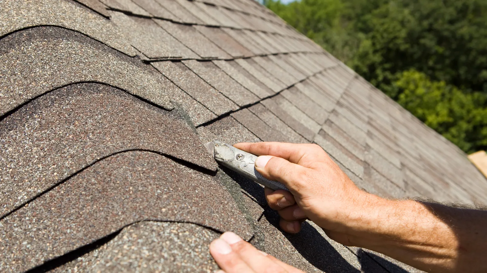 Ridge cap shingle trimmed by a roofer using a utility knife