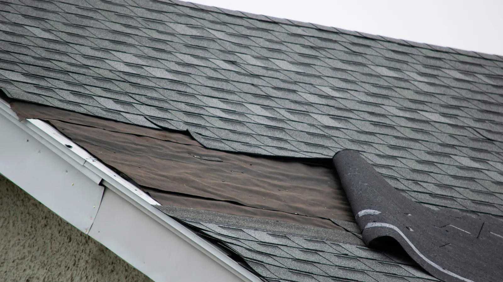 Torn shingles exposing underlayment on a gray asphalt roof slope